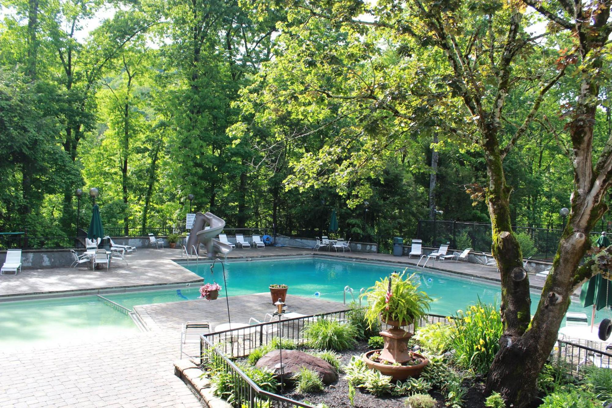 Heavenly View - Bear Themed Cabin, Hottub, Dog-Friendly, Near Gatlinburg Exterior photo